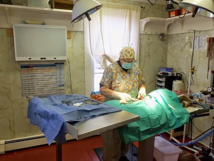 Damariscotta Veterinary Clinic Picture 1