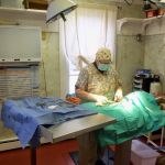 Damariscotta Veterinary Clinic