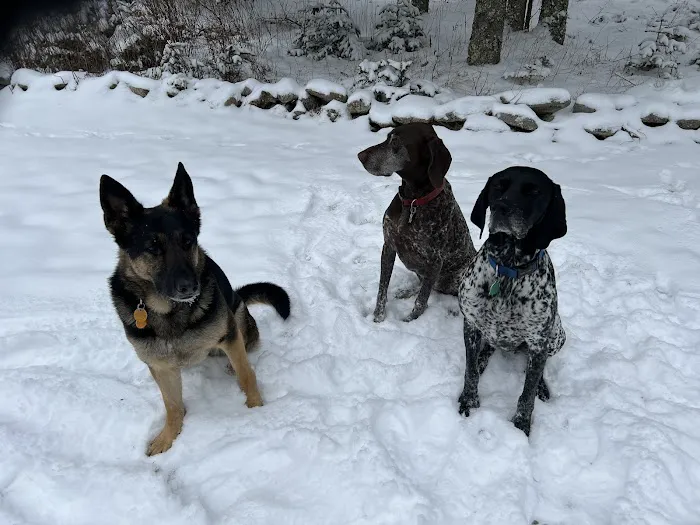 Boothbay Animal Hospital Picture 6