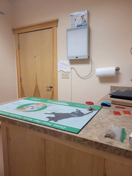 Boothbay Animal Hospital Picture 5