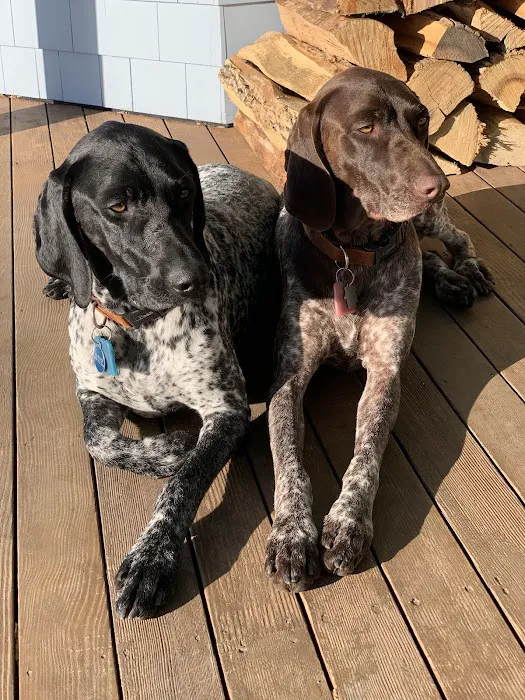 Boothbay Animal Hospital Picture 2