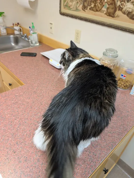 Medomak Veterinary Services Picture 8
