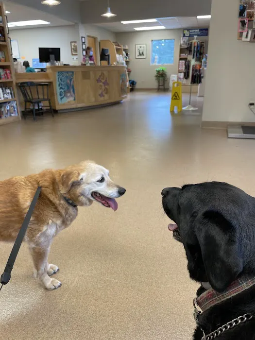 Medomak Veterinary Services Picture 4
