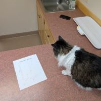 Medomak Veterinary Services ico