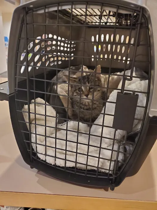 Beverly Animal Hospital Picture 10