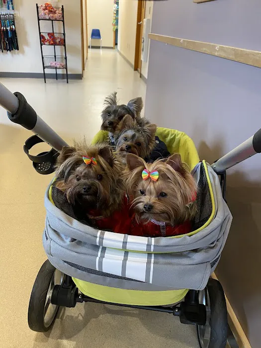 Beverly Animal Hospital Picture 9