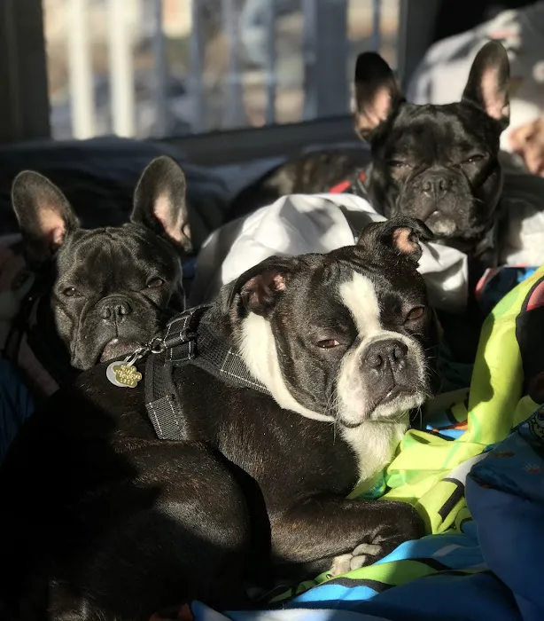 Beverly Animal Hospital Picture 7