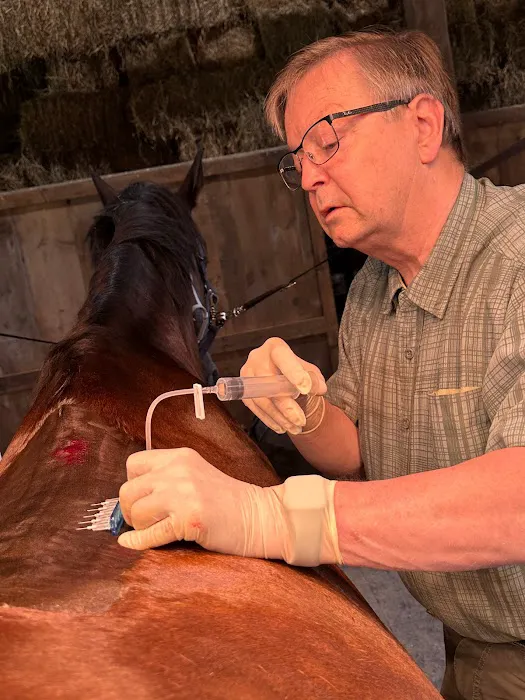 Kaneps Equine Sports Medicine and Surgery Picture 4