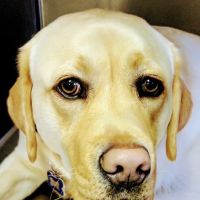 Farms Veterinary Clinic ico