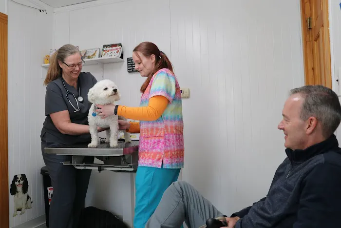 Farms Veterinary Clinic Picture 2
