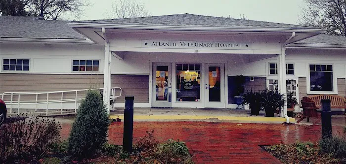 Atlantic Veterinary Hospital Picture 1