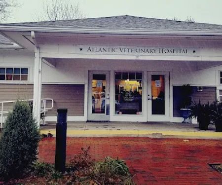 Atlantic Veterinary Hospital