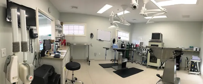 Atlantic Veterinary Hospital Picture 6