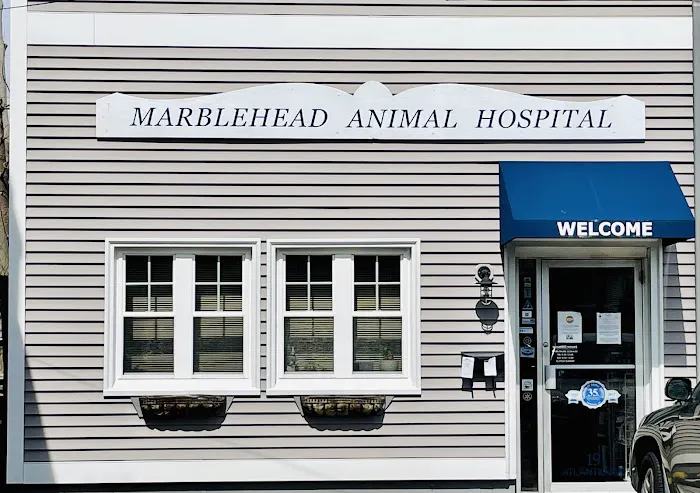 Marblehead Animal Hospital Picture 5