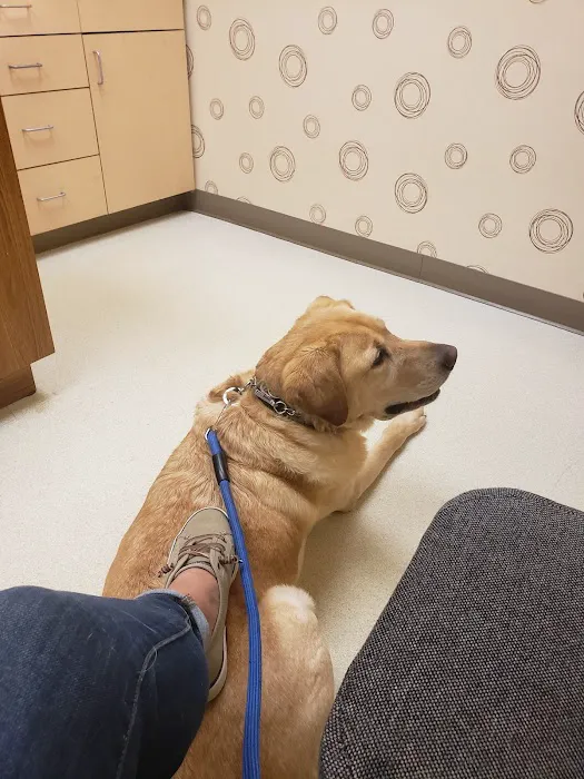 Guilford-Jamestown Veterinary Hospital Picture 4