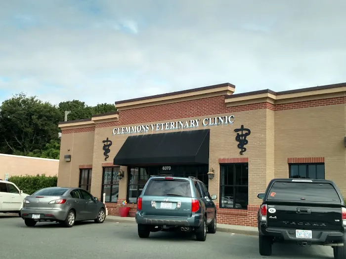 Clemmons Veterinary Clinic Picture 2