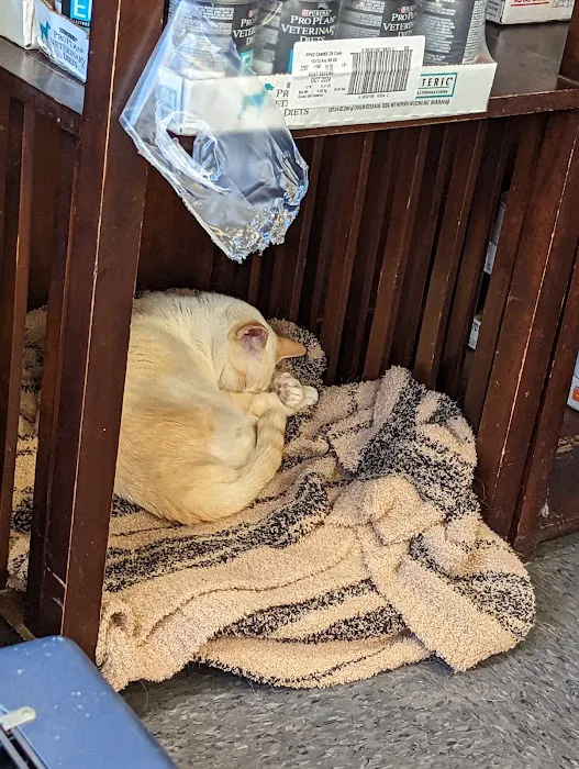 Clemmons Veterinary Clinic Picture 7