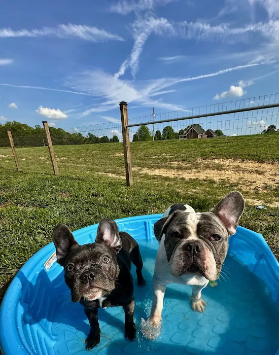 Village Way Veterinary Picture 8