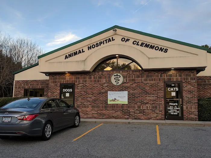 Animal Hospital of Clemmons Pa: Stephens Susan DVM Picture 1