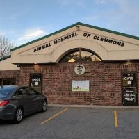 Animal Hospital of Clemmons Pa: Stephens Susan DVM ico