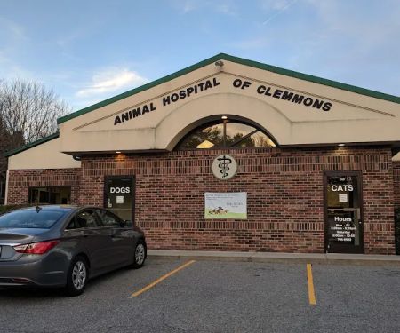 Animal Hospital of Clemmons Pa: Stephens Susan DVM