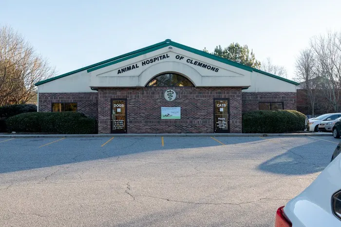 Animal Hospital of Clemmons Picture 1