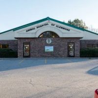 Animal Hospital of Clemmons ico