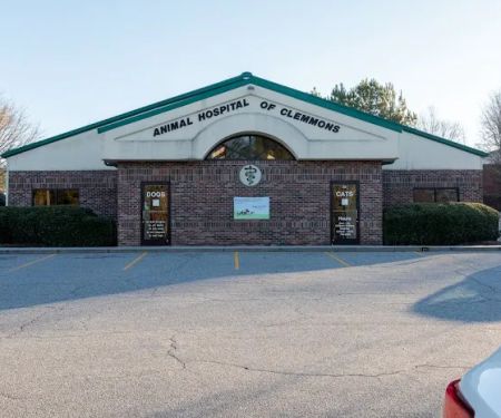 Animal Hospital of Clemmons
