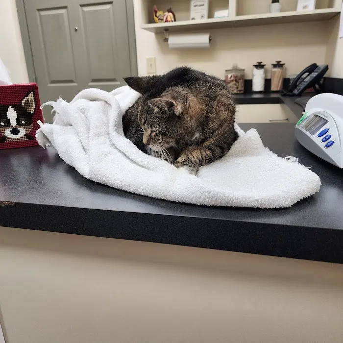 Animal Ark Veterinary Hospital Picture 4