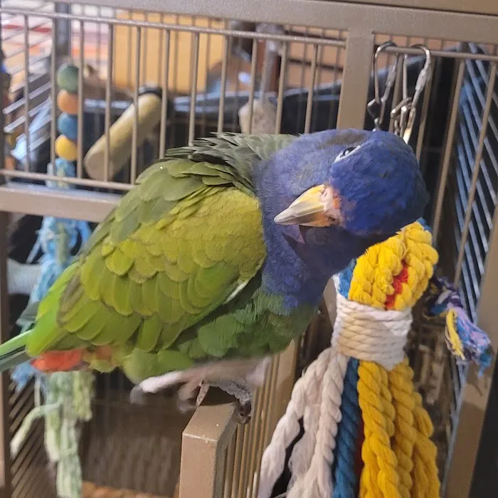 Animal Ark Veterinary Hospital Picture 9