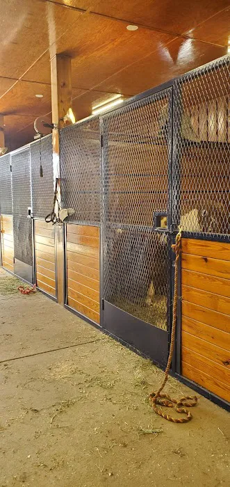 Greystone Veterinary Service Picture 1