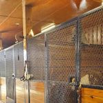 Greystone Veterinary Service