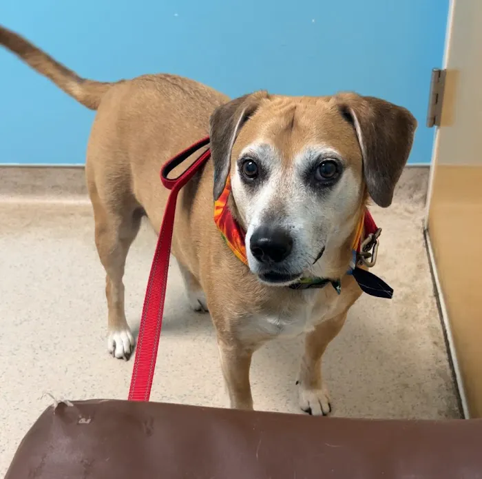 Wilkes Veterinary Hospital Picture 2