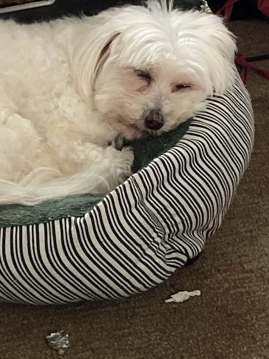 Wilkes Veterinary Hospital Picture 8
