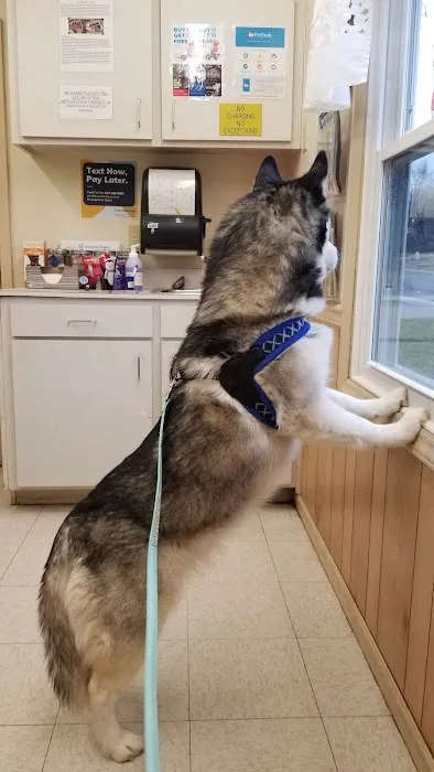 Community Animal Clinic, Inc. Picture 5