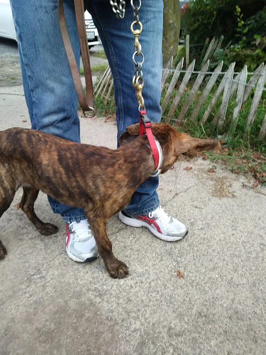 Wythe County Animal Clinic Picture 6