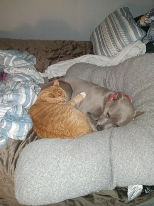 Wythe County Animal Clinic Picture 8