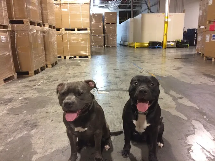 Animal Care Clinic, LLC Picture 8