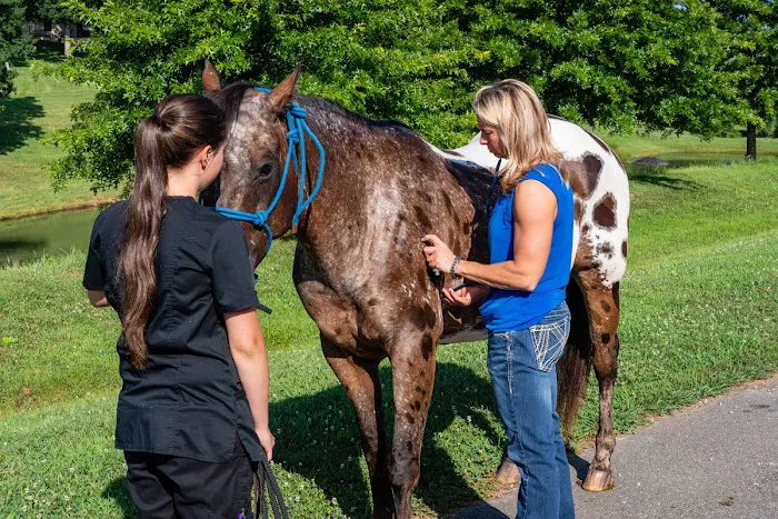 North Iredell Animal Hospital Picture 1