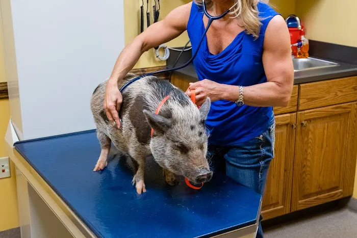 North Iredell Animal Hospital Picture 10