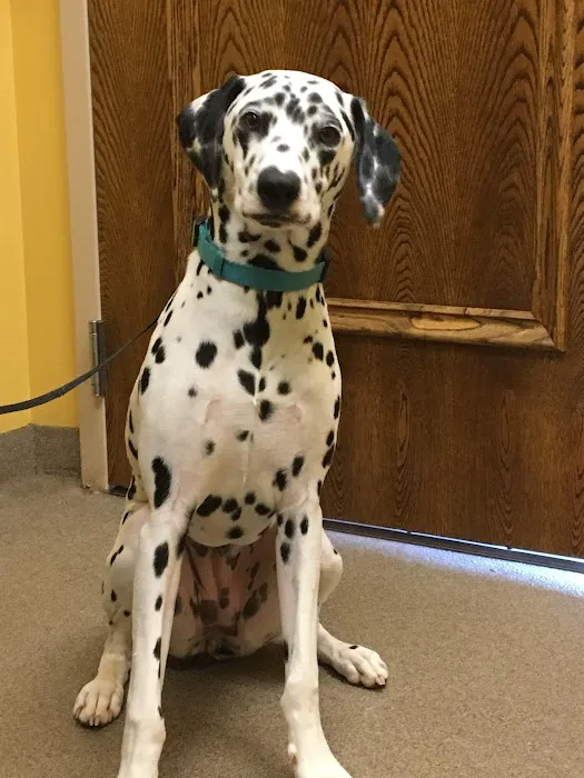 North Iredell Animal Hospital Picture 7