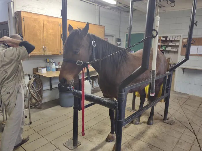 Statesville Bovine & Equine: Blackwelder J T DVM Picture 1