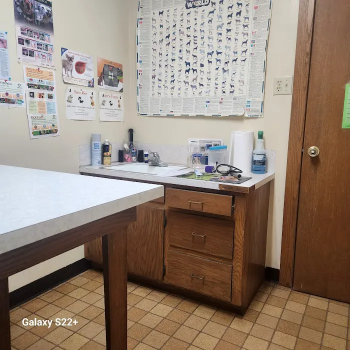Davis Animal Hospital Picture 2