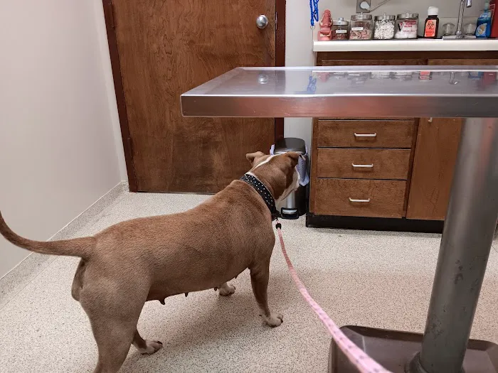 Valley Animal Clinic: Williams Charles F DVM Picture 1