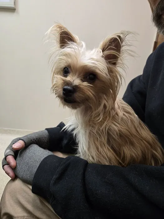 Valley Animal Clinic Picture 6