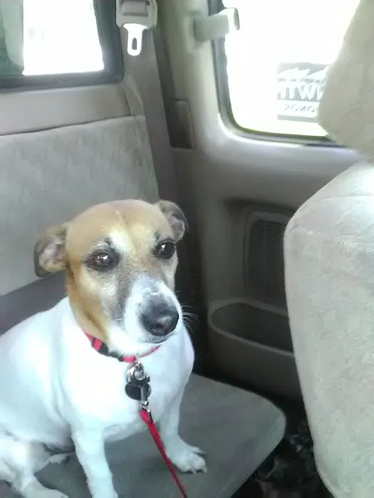 Valley Animal Clinic Picture 8