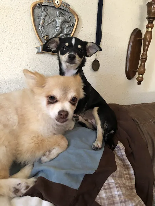 Valley Animal Clinic Picture 2