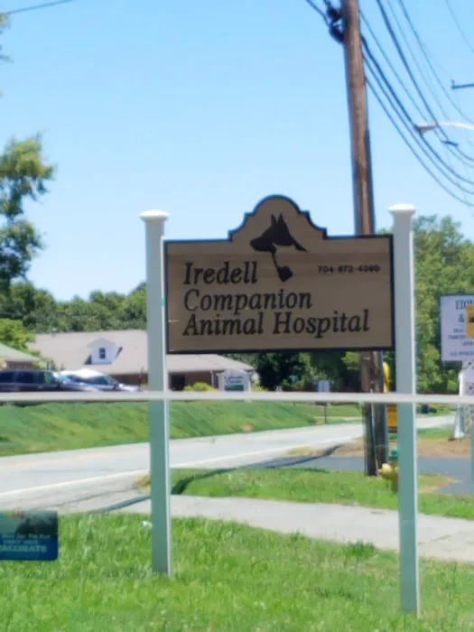 Iredell Companion Animal Hospital Picture 3