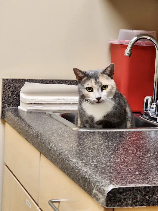 Scotts Creek Animal Hospital Picture 1