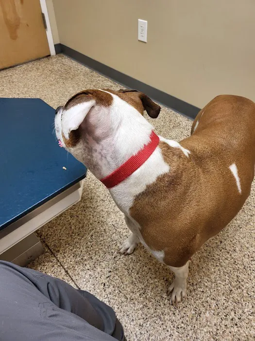 Scotts Creek Animal Hospital Picture 2